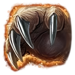 Druide